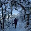 Climbing the Ponderosa Trail in winter.