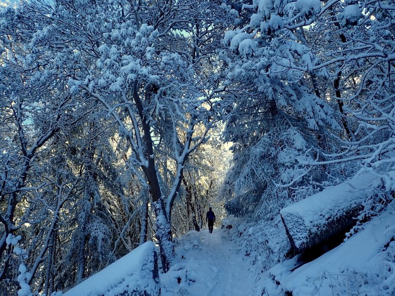Climbing the Ponderosa Trail in winter.