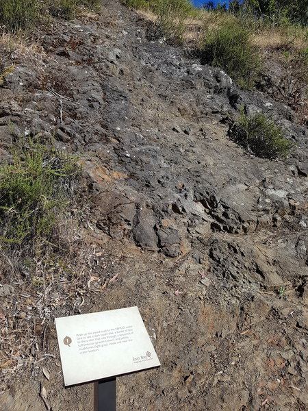 Sign #1: "dark basalt dike, a feeder of lava to the crater, that cuts through a sequence of tuffbreccias (grayish brown) and pebbly mudstones (light gray), inside and near the crater bottom."