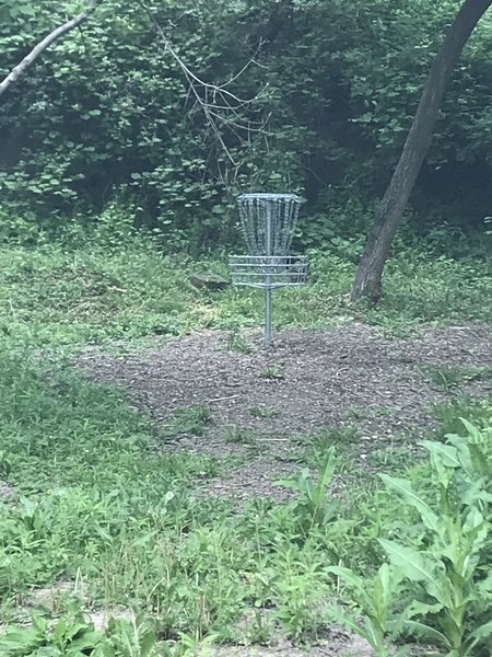 “Hole” for one of the frisbee golf course challenges.