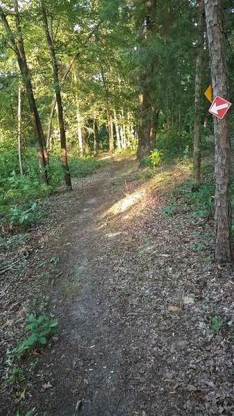 Trail is well marked to help navigate confusing intersections