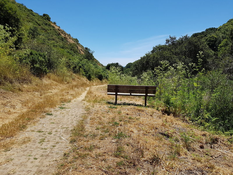 Benches can be found on every trail in the park. Stop and rest for a minute and take in the beauty of the park.