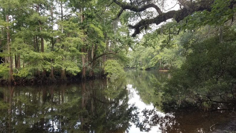 A view of the Bayou
