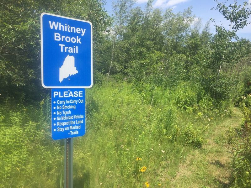 Whitney Brook Trail entrance from Cross Street