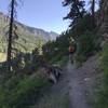 Old Twin Peaks Trail - Looking down the Valley over Ouray
