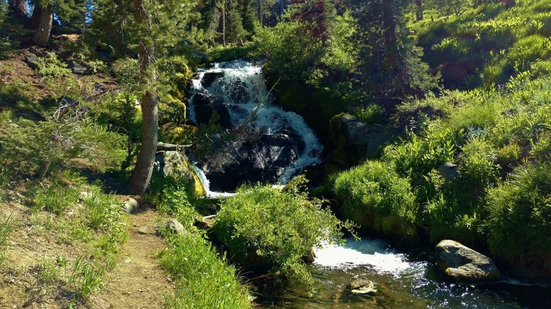 A waterfall on a Hat Creek tributary, along Paradise Meadows Trail.