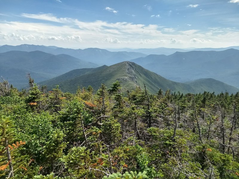 Bondcliff Trail Hiking Trail, Lincoln, New Hampshire