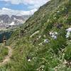 Climbing Buchanan Pass on the west side.