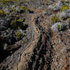 One section of the trail follows a cool volcanic rock formation