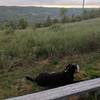 Viewpoint overlooking the Beaver Valley