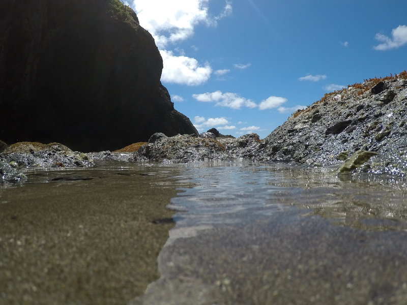 A tide pool at Point Of The Arches.