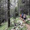 Heading up the West Branch Trail with trailside blueberries keeping the pace slow.