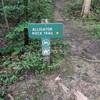 Alligator Rock Trail
