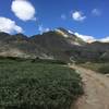 Father Dyer Peak and the 3rd class ridge is in the center and left of the photo. Crystal Peak is in the sun just in view to the right of Father Dyer Peak.