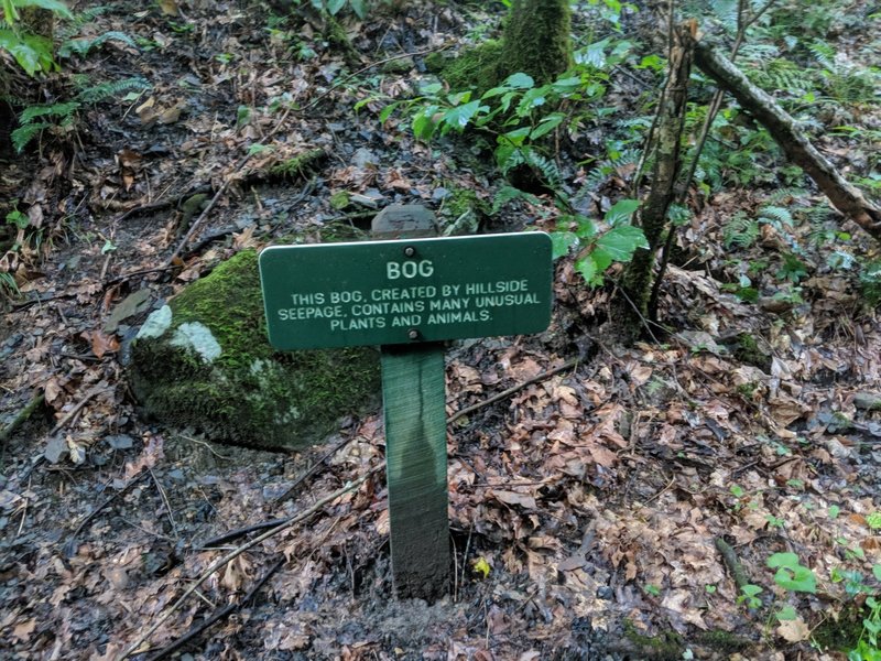 CCC Snipe Trail - Bog Signage