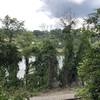 View of the French Broad River - One of the largest rivers in North Carolina