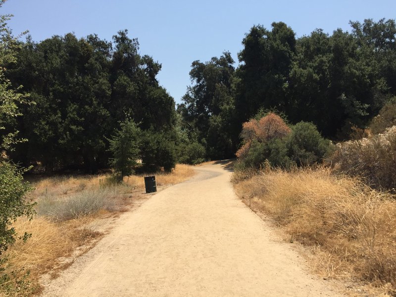 Pico Canyon Park trail near the beginning of the trail.