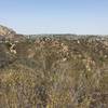 Pico Canyon Park trail - view from the top of the 340 step hill. You can see Stevensons Ranch community and wilderness.