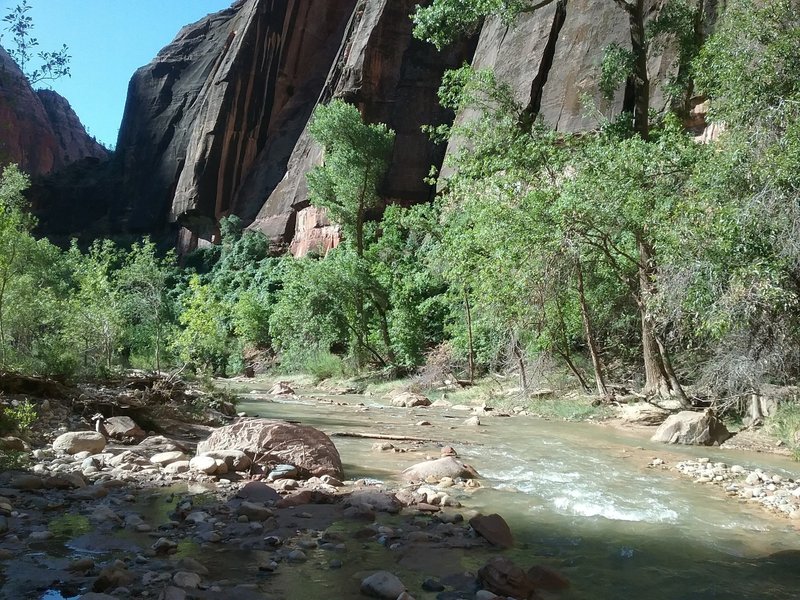 View of the Virgin river