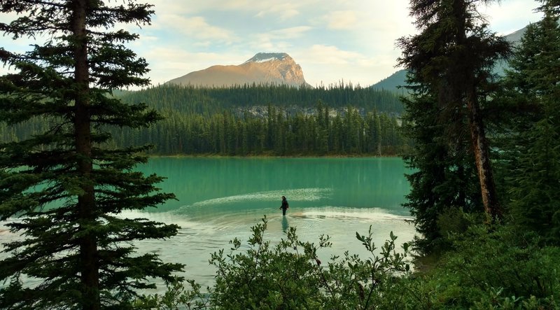 Fishing in Brazeau Lake at sunset. Brazeau Lake is a large backcountry lake in southern Jasper National Park.