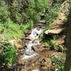 Rex Falls Trail