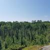 View of the Kabetogama Forrest from the ridge.