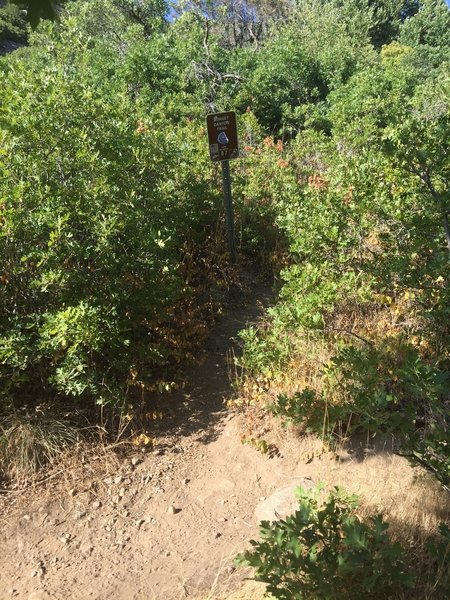 See the Hornet Canyon sign at the fork. Go left for Hornet Canyon or right for Steed Canyon.