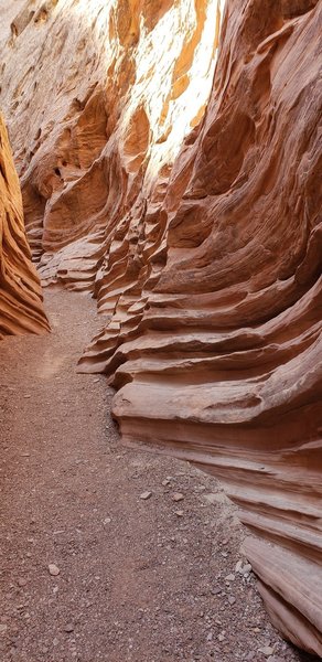 Amazing patterns in the canyon
