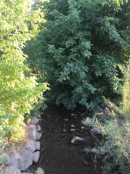 A view of Red Butte Creek, the one water feature on the Bonneville Shoreline Trail between Emigration Canyon and Dry Creek