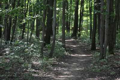 Alum Creek State Park Hiking Trails Hiking Trails Near Alum Creek State Park