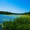 Coffee Mill Lake lies peacefully and vacant within the boundary of the National Grassland.