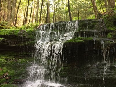 Hiking Trails near Robert V. Riddell State Park