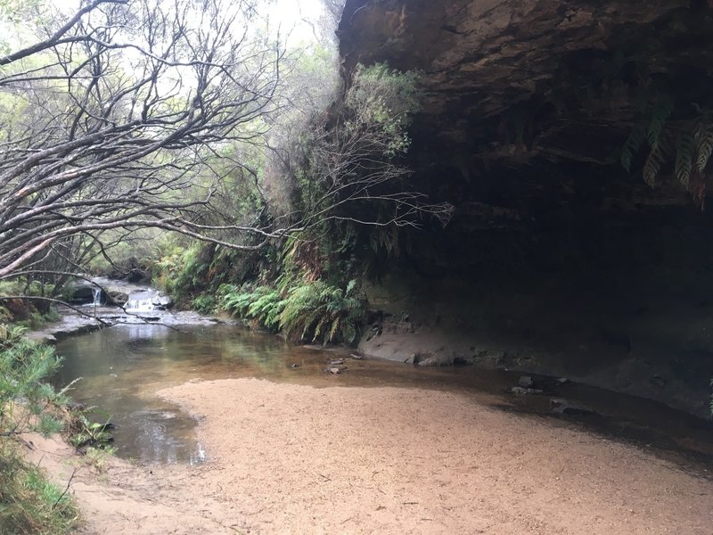 A beautiful cavern opening with the creek running beside it
