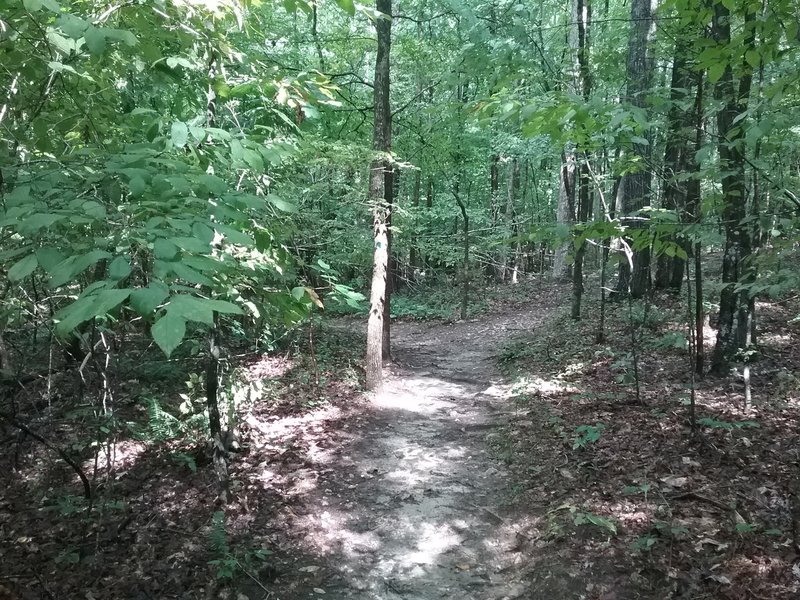 Beginning of trail
