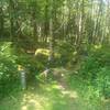 MST Connector to get to Bearpen Gap Falls
