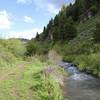Temple Fork Sawmill Trail
