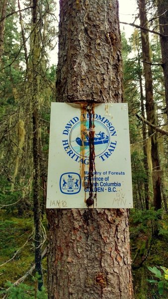 Beautiful old trail sign. David Thompson, in 1807, first crossed Howse Pass and followed this trail along the Blaeberry River down to the Columbia River as he mapped this area.