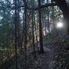 Morning light on the Boulder Trail