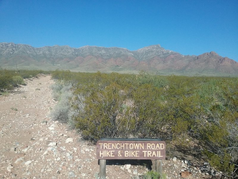 View of Franklin Mountains from the trail