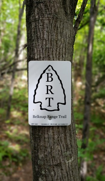 Belknap Range Trail marker