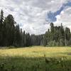 Crescent Meadow, Sequoia National Park