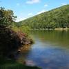 Beautiful view of the Allegheny from campsite #18