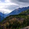 Looking up the Stehekin valley towards McGregor mountain from the Rainbow Loop Trail.