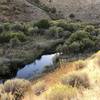 Some impressive beaver ponds visible from the Third Fork Rock Creek Trail.