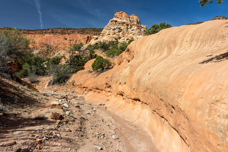 The Red Canyon creek carved this rock over millions of years