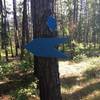 Typical Trail Markers