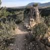 Great ridgeline singletrack with views of the Garden of the Gods