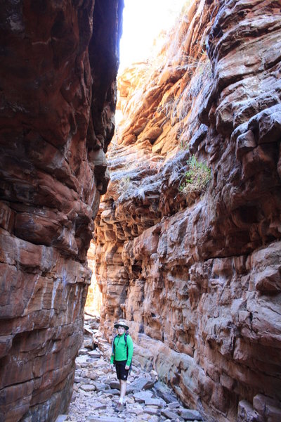 The constriction in Alligator Creek gorge