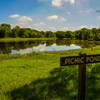 Picnic pond is a great place for fishing, bird watching, or .....a picnic.