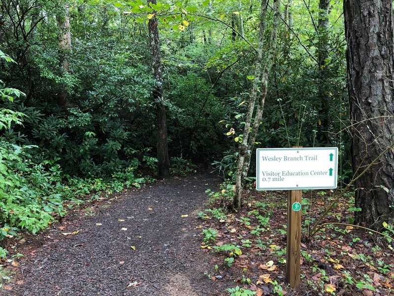 View of the Wesley Branch Trail from the Bent Creek Road
